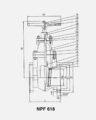 NPF-618